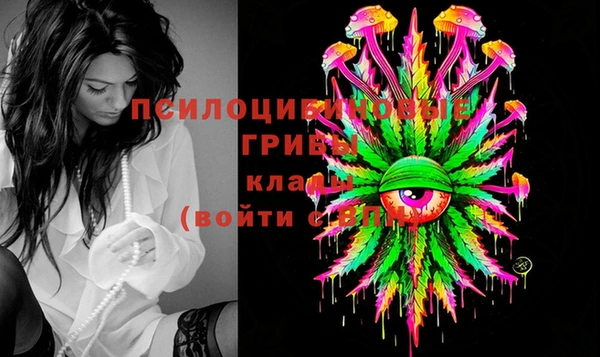 стафф Алзамай