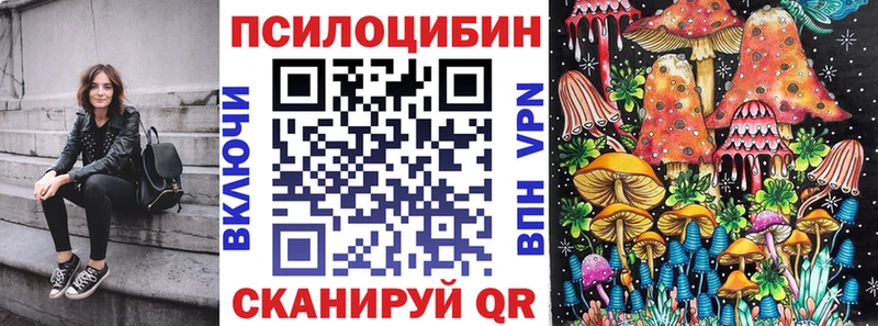 Галлюциногенные грибы Psilocybine cubensis  Инсар 